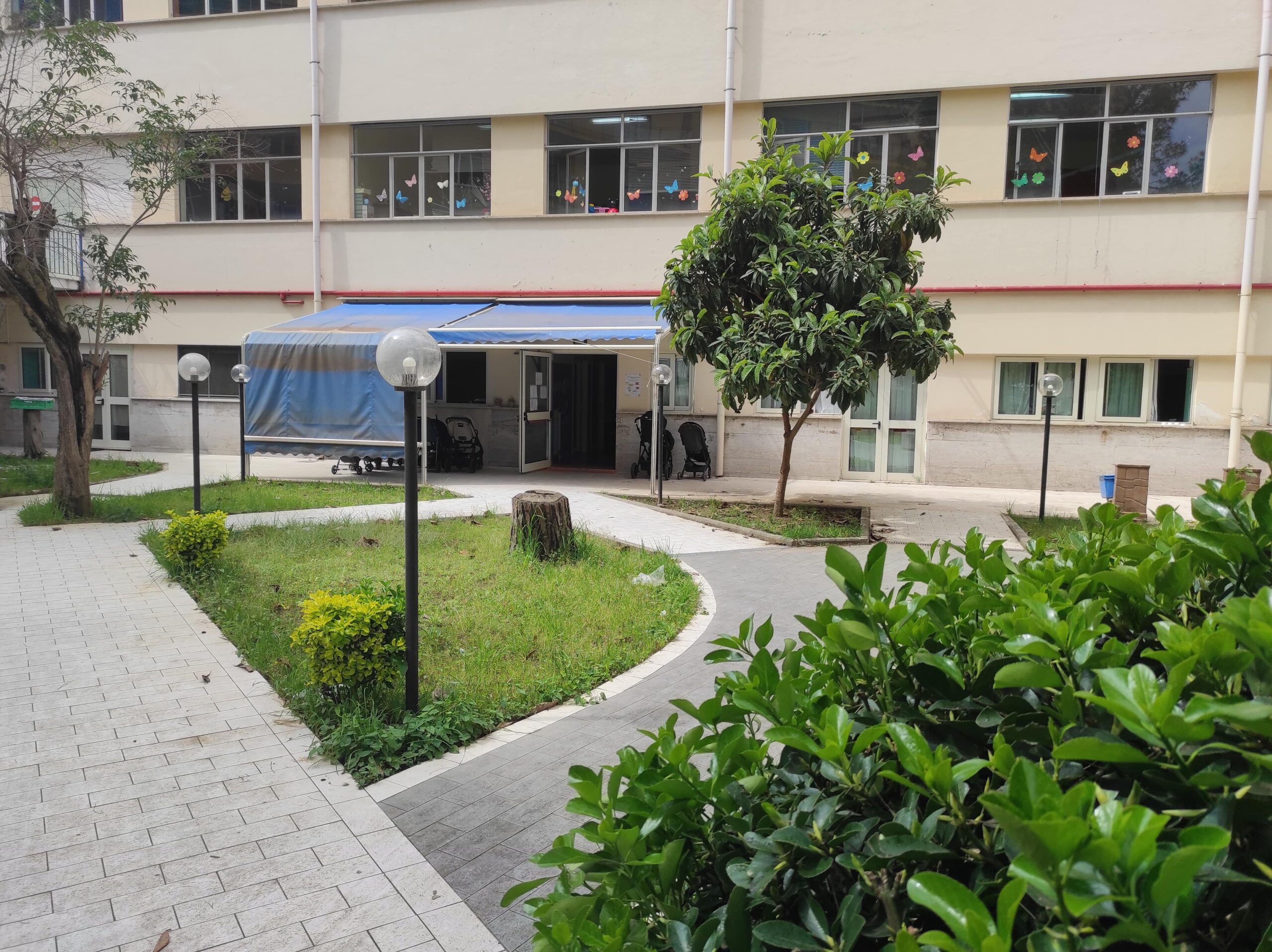 Immagine di 05NIDOSAVYLOPEZ