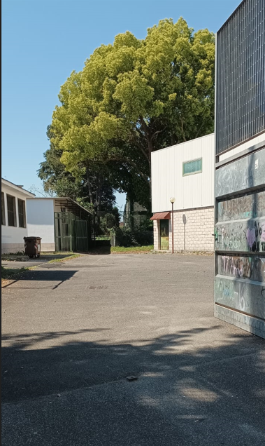 Immagine di 07NIDOACQUAROLAMOSCATI