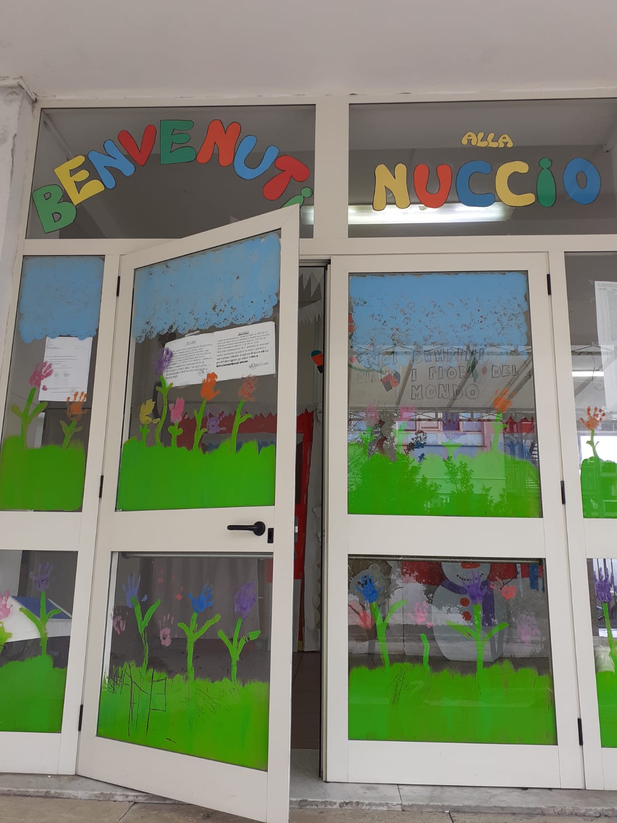 Immagine di 09SCUOLANUCCIO