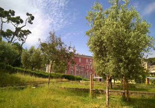 Immagine di Parco San Gennaro