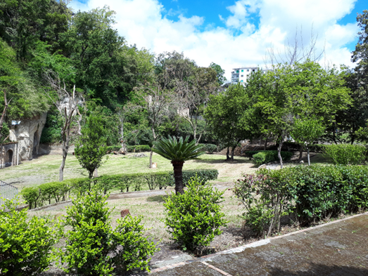 Immagine di Parco Viviani