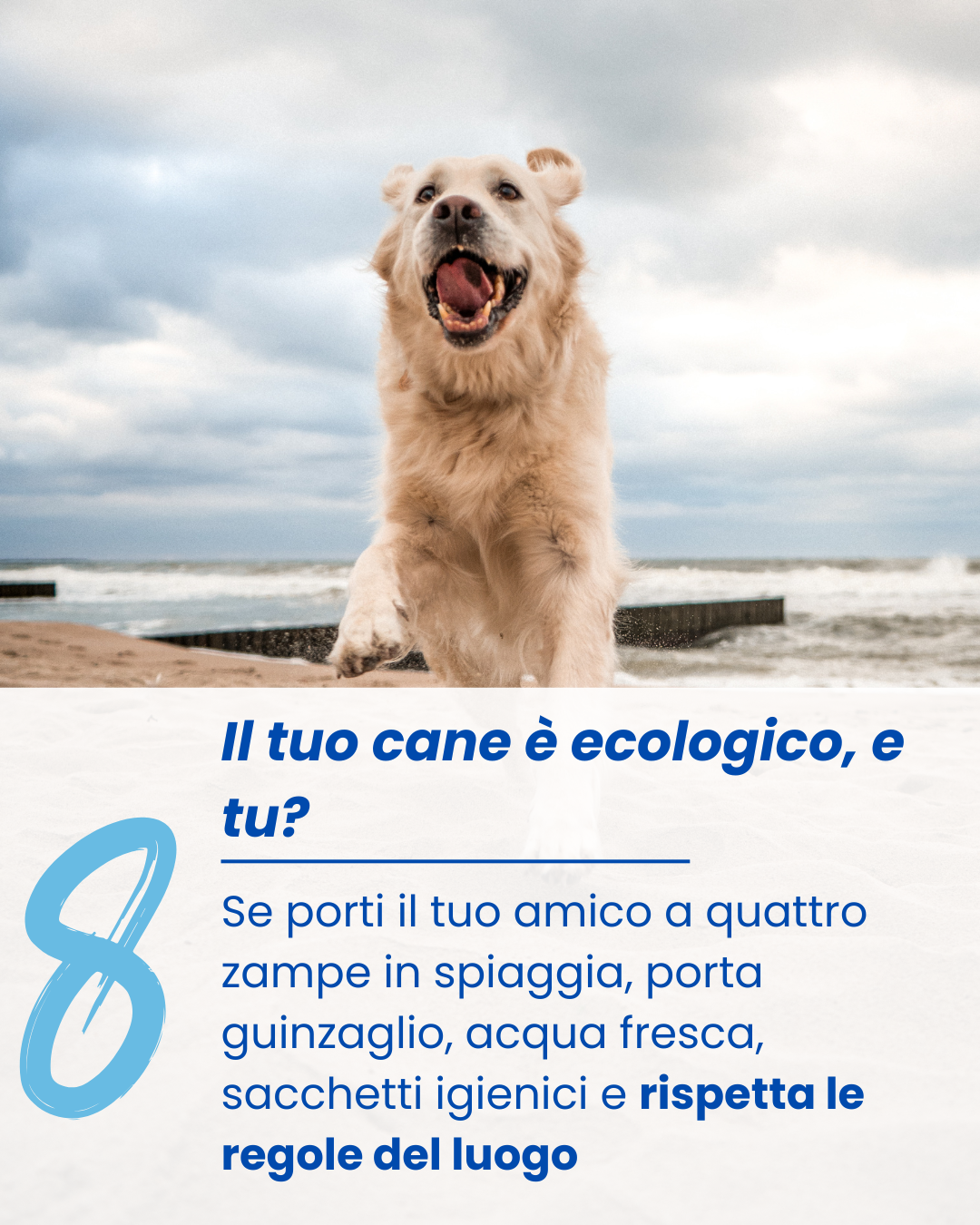 “Chi Tene ‘O Mare”, al via la nuova campagna di sensibilizzazione alla tutela dell’ambiente marino-costiero