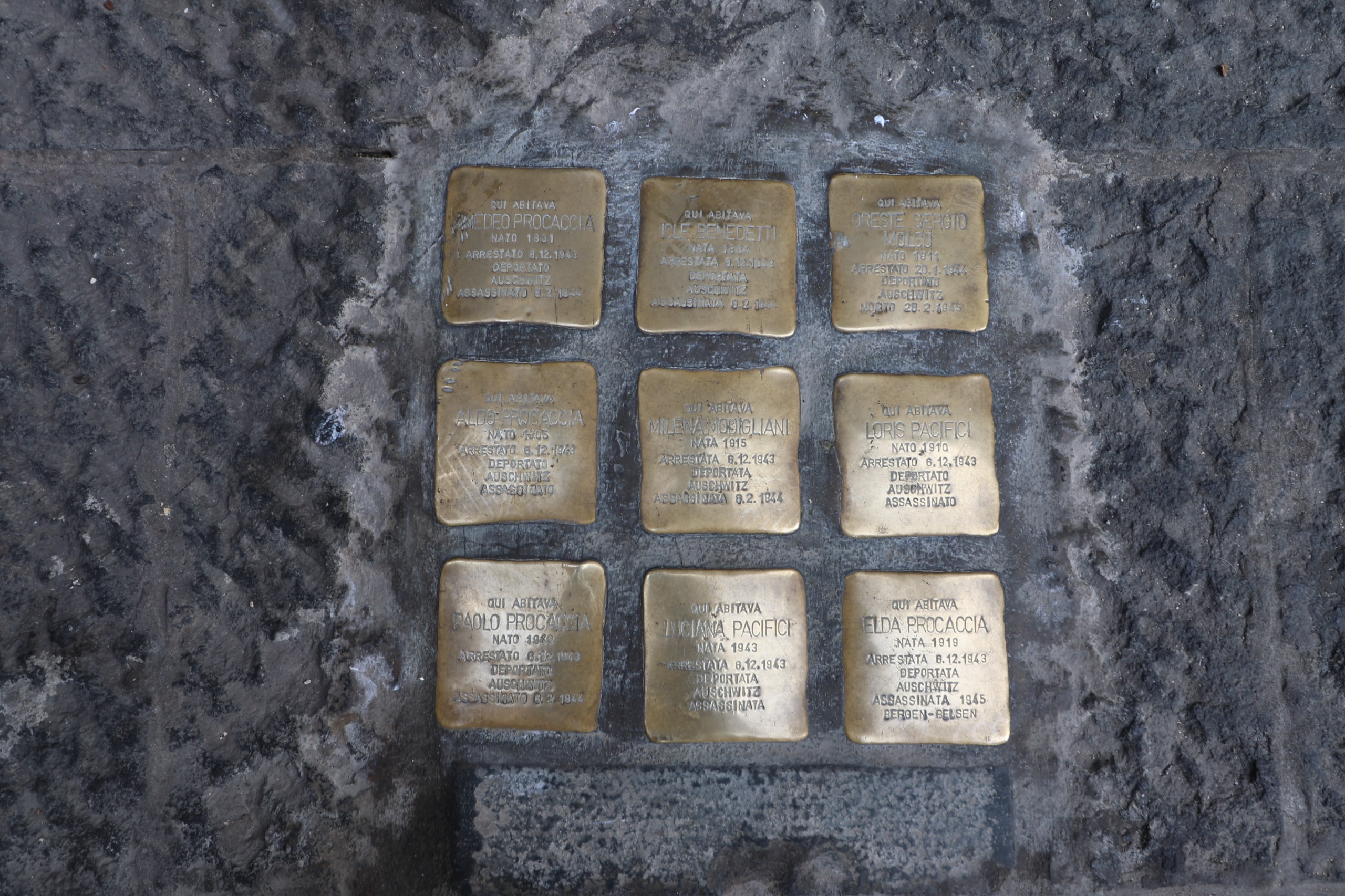 Celebrazioni per il "Giorno della Memoria"