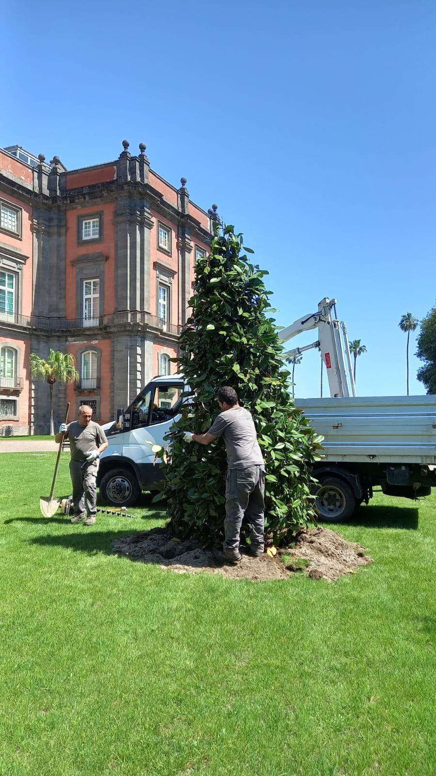Piantumazione dell'Albero dell'Amicizia a Capodimonte