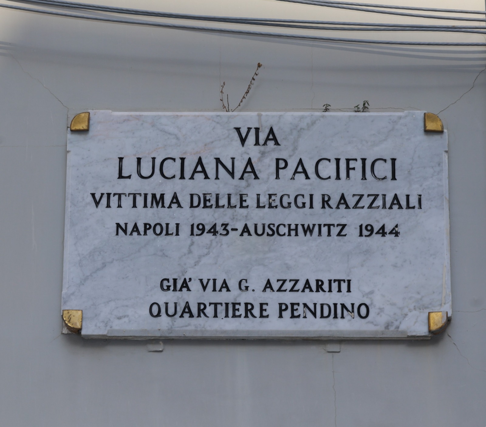 Il sindaco Manfredi per la Giornata della Memoria